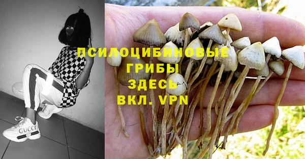гидропоника Богородицк