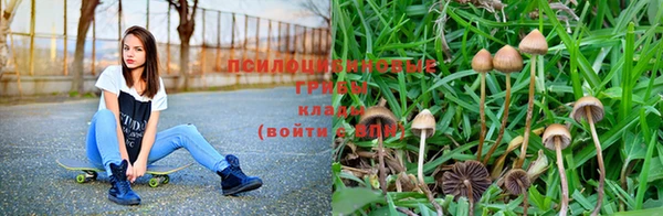 бошки Зеленокумск